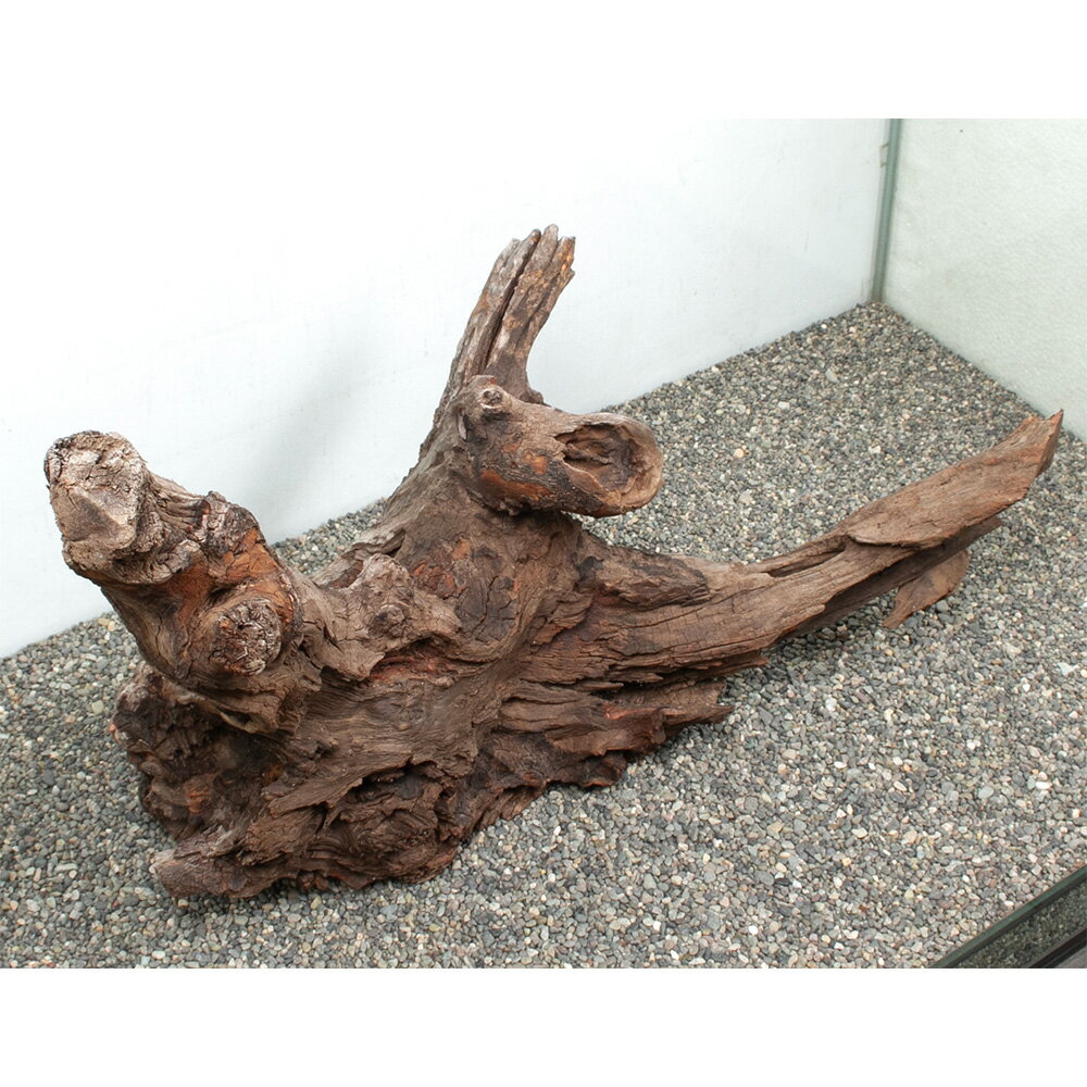 ����ʪ���ɥ�եȥ��åɡ��緿�����ѡ�880159������������