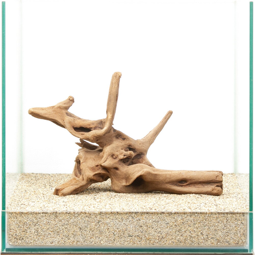 一点物　上質流木　雅　30cm水槽用　880435　関東当日便