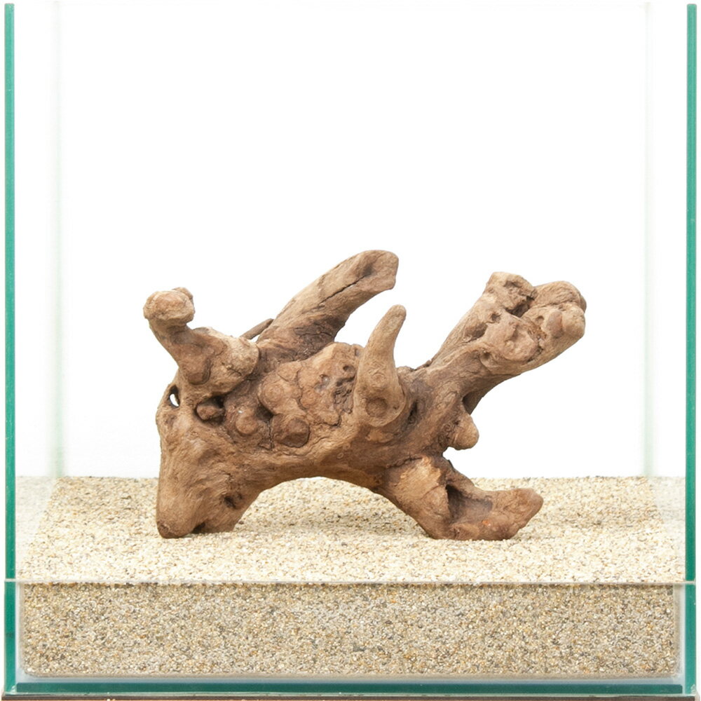 楽天市場】流木 一点物の通販