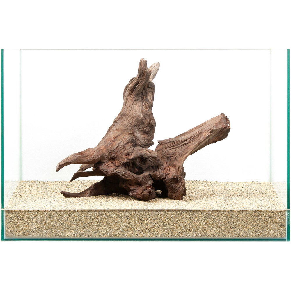 Driftwood - 一点物　上質ドリフトウッド　45cm水槽用　880752　関東当日便