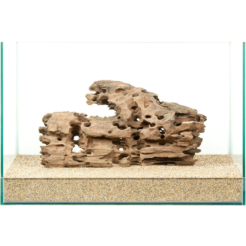 Driftwood - 一点物　ハニカムウッド　45cm水槽用　880859　関東当日便