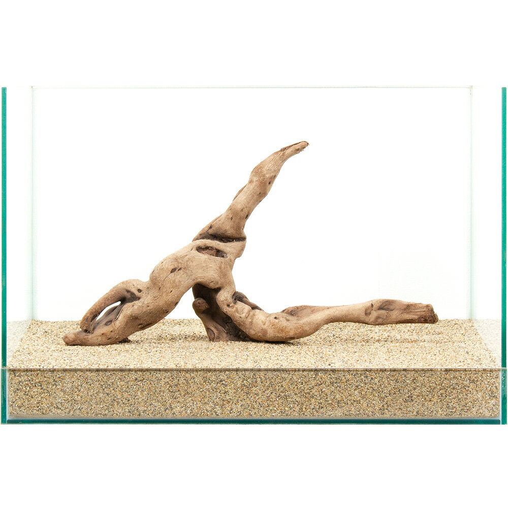 ����ʪ�����ή�ڡ�����45cm�����ѡ�881007������������