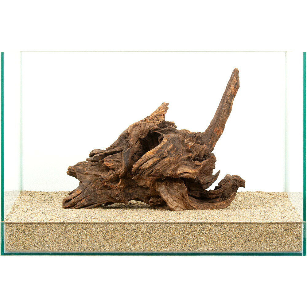Driftwood - 一点物　ドリフトウッド　45cm水槽用　881297　関東当日便