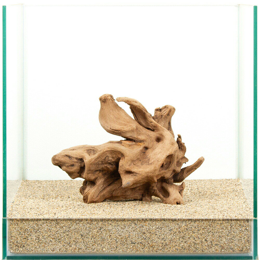 Driftwood - 一点物　上質流木　雅　30cm水槽用　881467　関東当日便