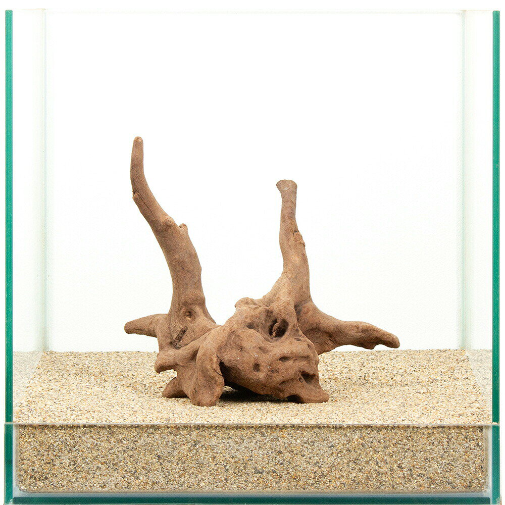 Driftwood - 一点物　上質流木　雅　30cm水槽用　881490　関東当日便