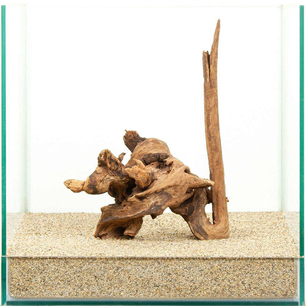 Driftwood - 一点物　上質ドリフトウッド　30cm水槽用　881500　関東当日便
