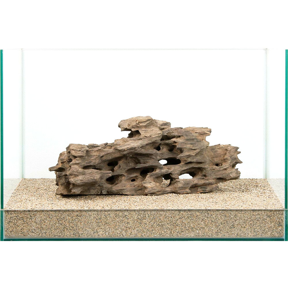 一点物　45cm水槽用　ハニカムウッド　881692　関東当日便