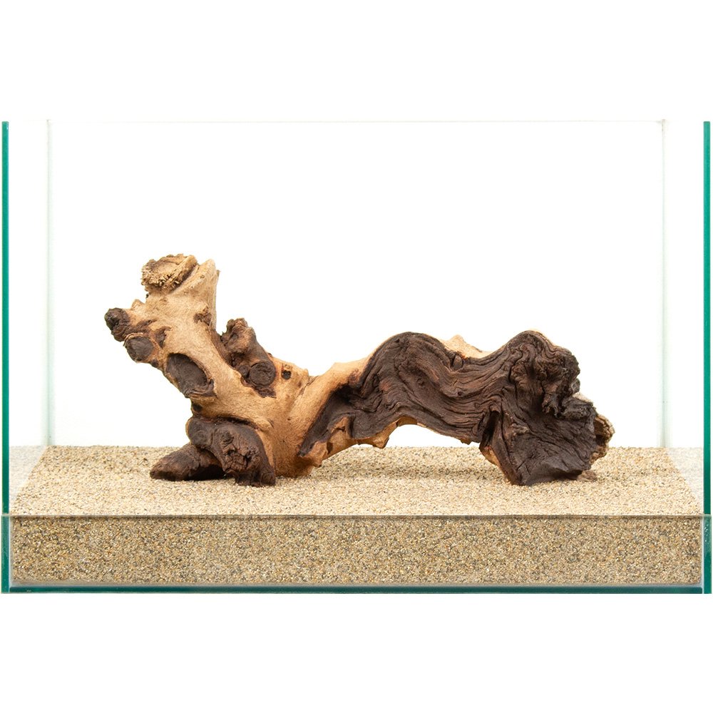 Driftwood - 一点物　45cm水槽用　モパネウッド　881707　関東当日便