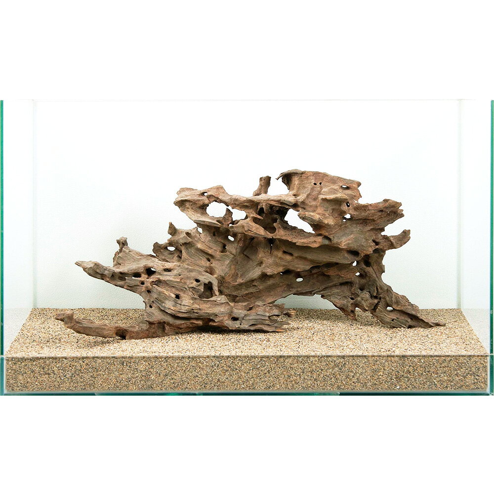楽天市場】水槽 60cm セット（流木｜流木・砂利・レイアウト用品