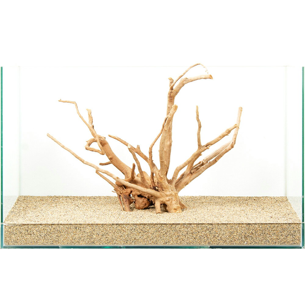 楽天市場】水槽 60cm セット（流木｜流木・砂利・レイアウト用品