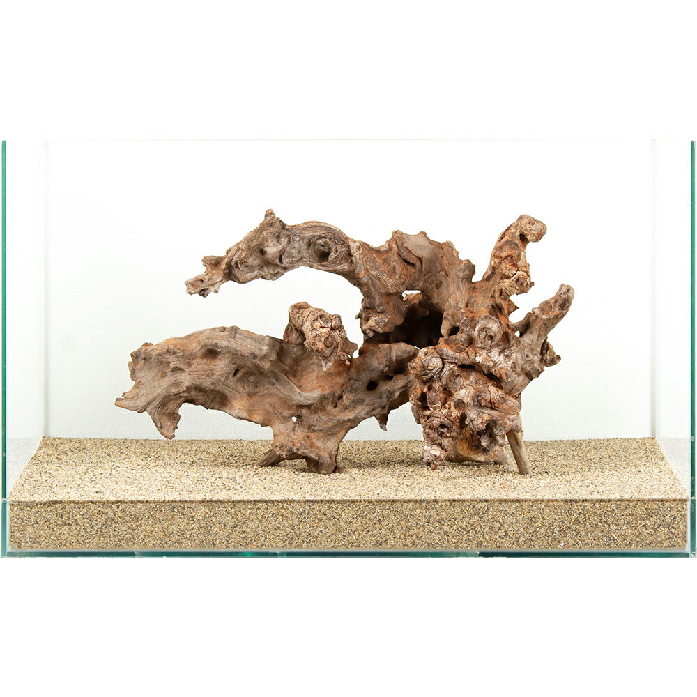 一点物　サンゴウッド　60cm水槽用　882202　関東当日便