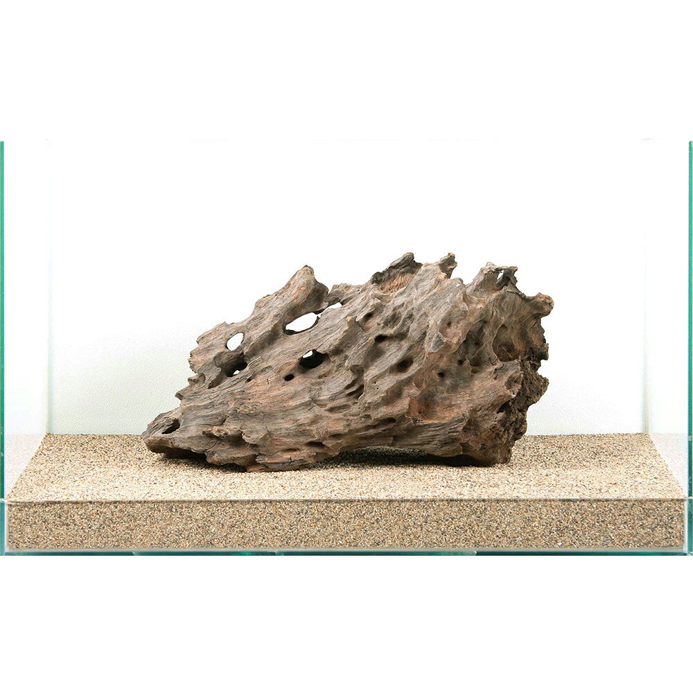 一点物　60cm水槽用　ハニカムウッド　882225　関東当日便