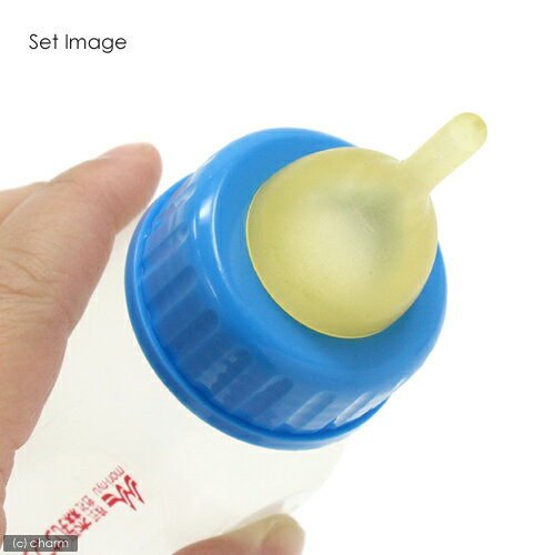 ����������å����ٸ�����2�����ꡡǭ�ѡ�Ӯ�����ѥѡ��ġ�����������