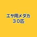 （めだか）生餌 エサ用メダカ（30匹） 活餌