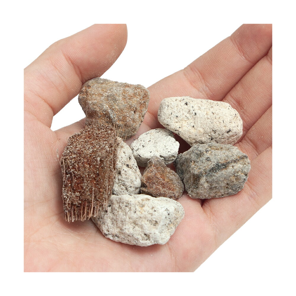 ȭ���С�10L����Ū�̤α�����ڡ��������3���¤ꡡ����������