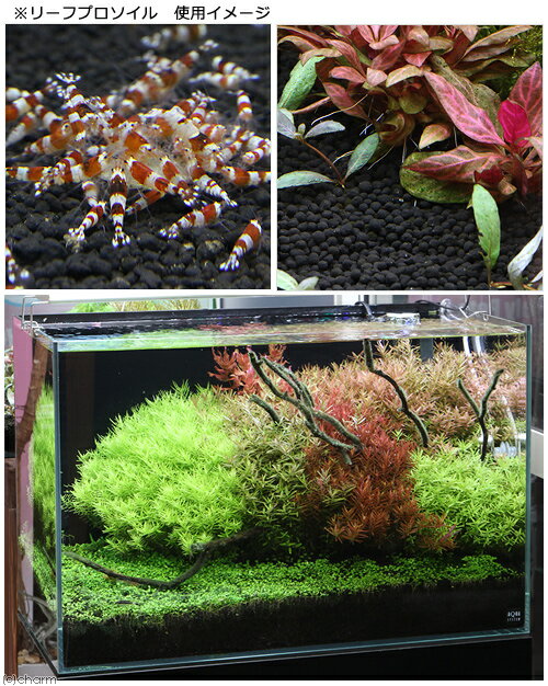 ������ñ�˻����롡�꡼�եץ������롡�Ρ��ޥ롡24L��8L��3�ޡˡ�Ǯ�ӵ������ʡ��������1���¤ꡡ����������