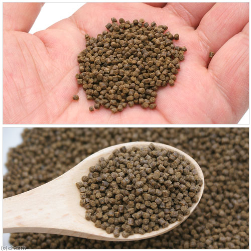 ff　num800　金魚用　粘膜サポートフード　（沈下性）　100g　プレミアム健康管理...