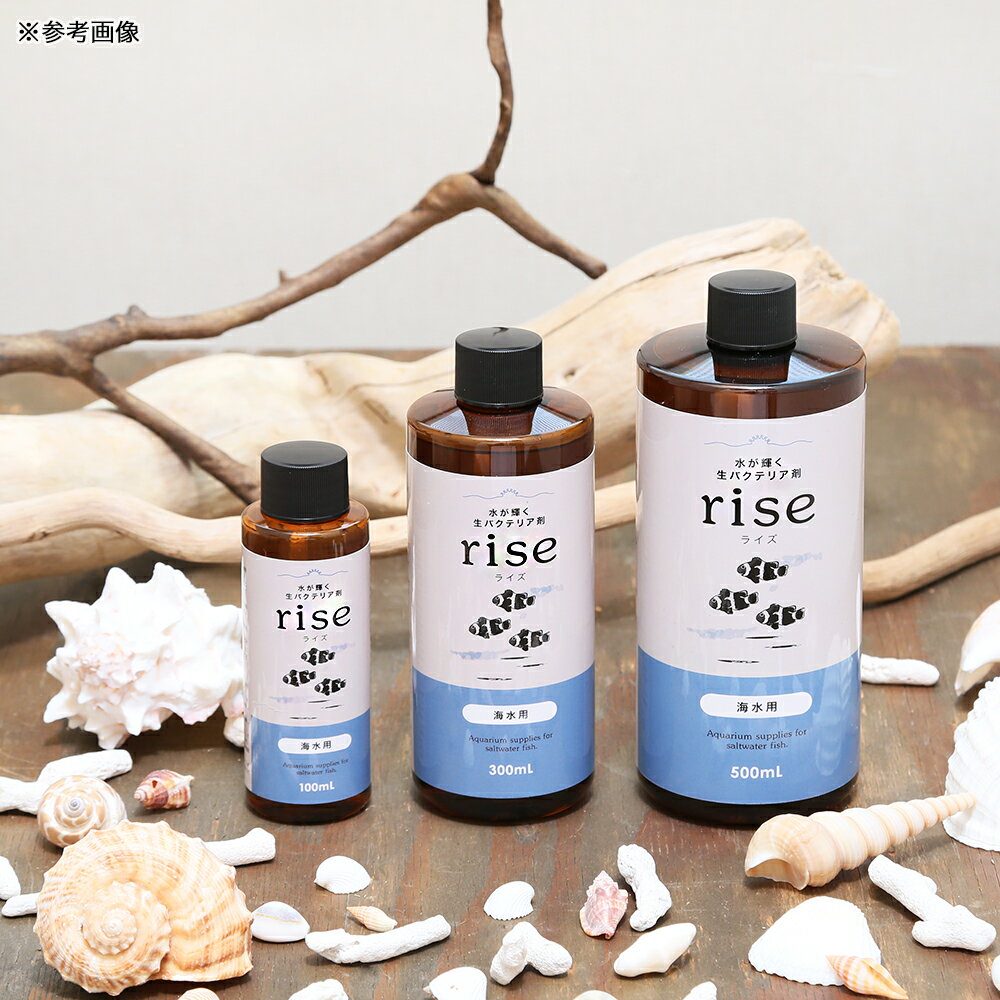 �夬�������Х��ƥꥢ�ޡ�rise���饤���������ѡ�500mL���������Х��ƥꥢ�������������������