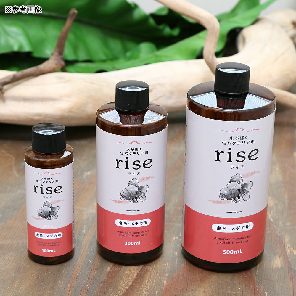 �夬�������Х��ƥꥢ�ޡ�rise���饤���������������ѡ�500mL���������Х��ƥꥢ������������