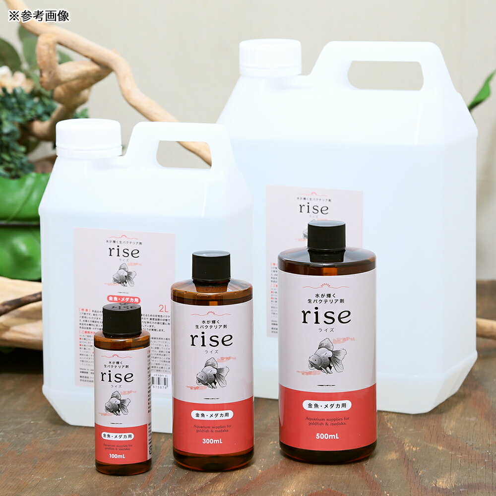 �夬�������Х��ƥꥢ�ޡ�rise���饤���������������ѡ�4L���������Х��ƥꥢ������������