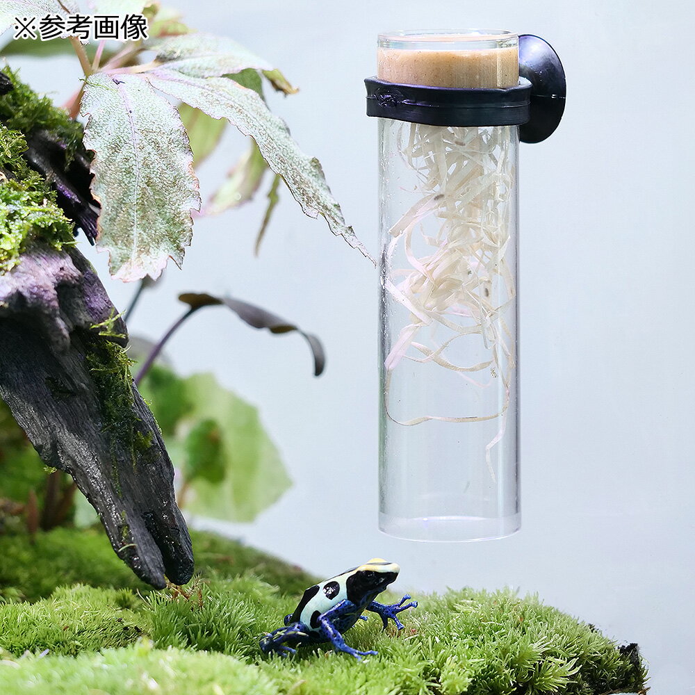 �Х������ӡ�30�ѥ��ѡ��������ࡡ1�ġ�����������