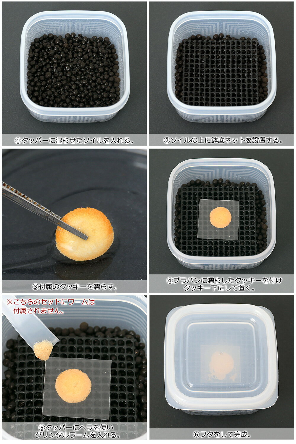 �������������ܥ��åȡ����������ꡡ����������