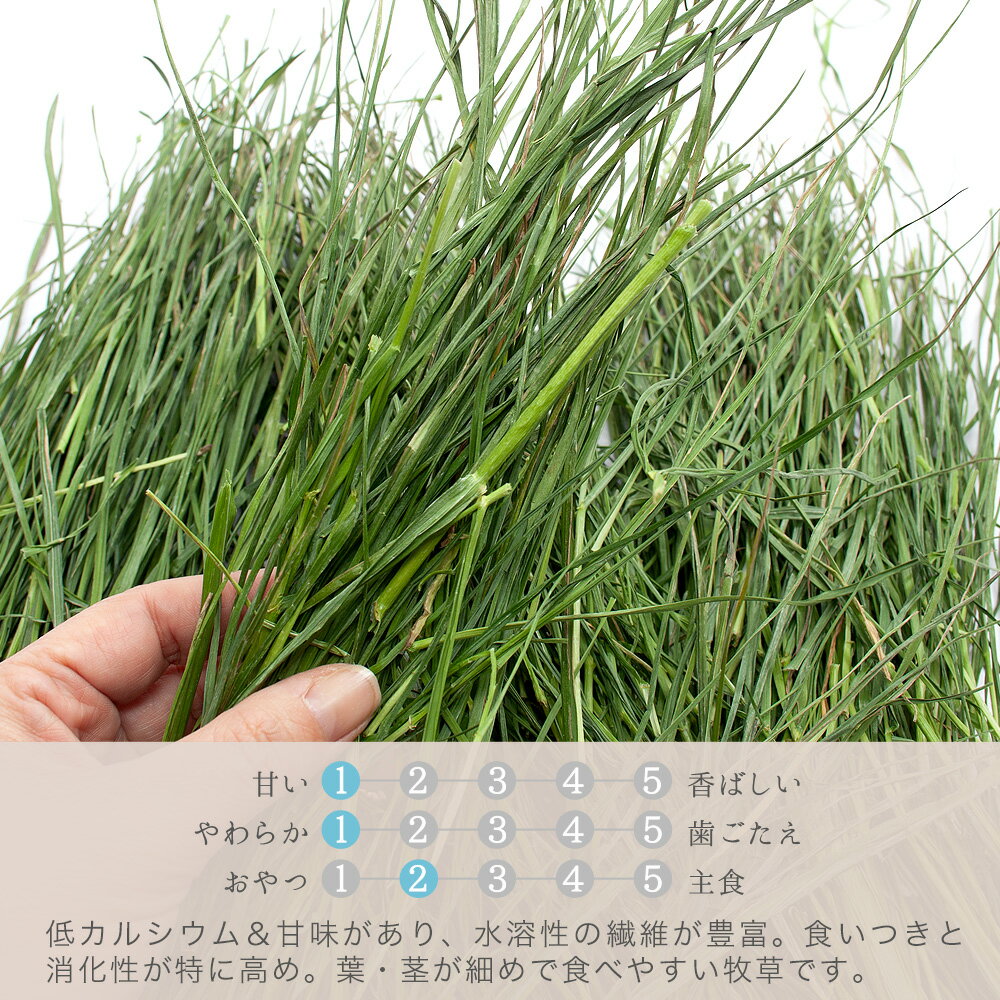 ����7ǯ���������𡡤�ߤĤ������ꥢ��饤���饹��100g�����𡡤�����������åȡ���ưʪ������ġ�USAYAMA������������