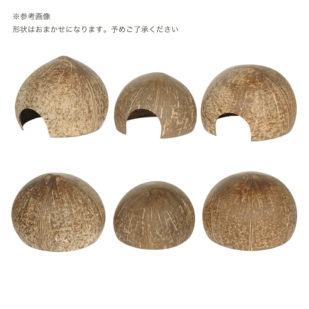 ������Ǥ���������ʥåĤα���ȥ����륿�����᤭�ž夲���ϡ��ե��åȡ�1�ġ�����������