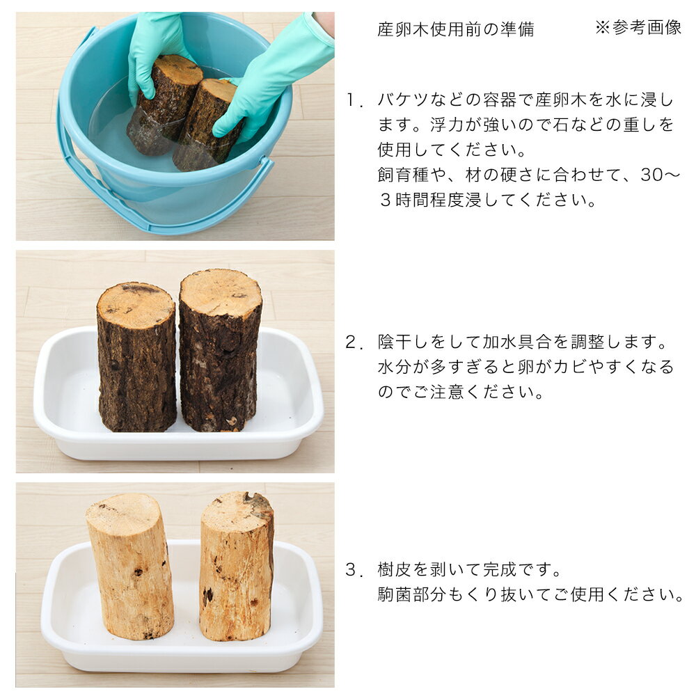 ���̤�졡�����ڡ����ܡ�7��9cm̤���ˡ�1�ܡ�����������