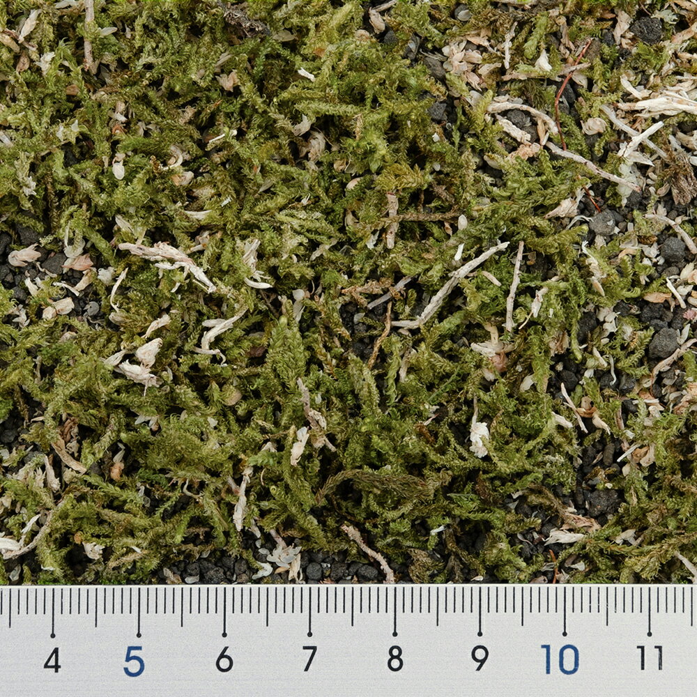 ��ñ�ޤ��������ϥ�����������������