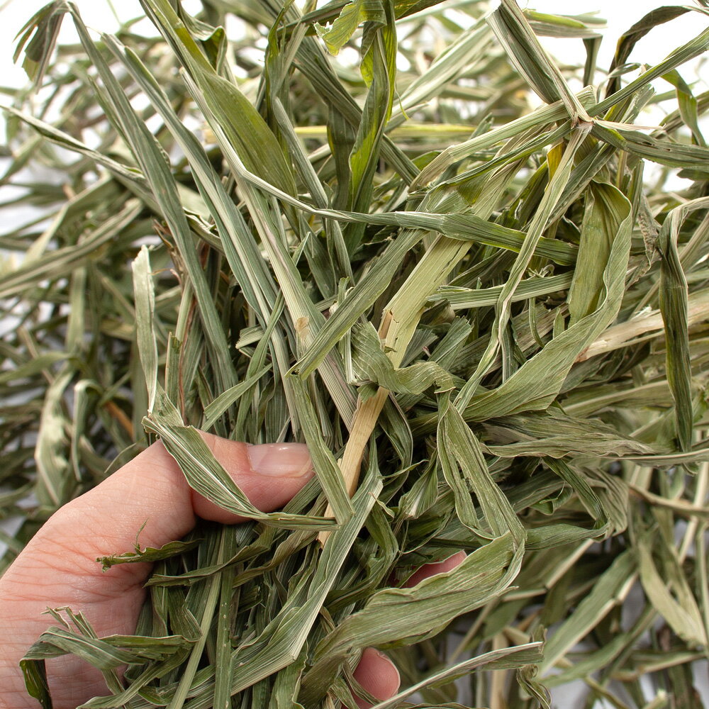 国産牧草　やみつきひえの葉　100g　牧草　うさぎ　無添加　USAYAMA　関東当日便