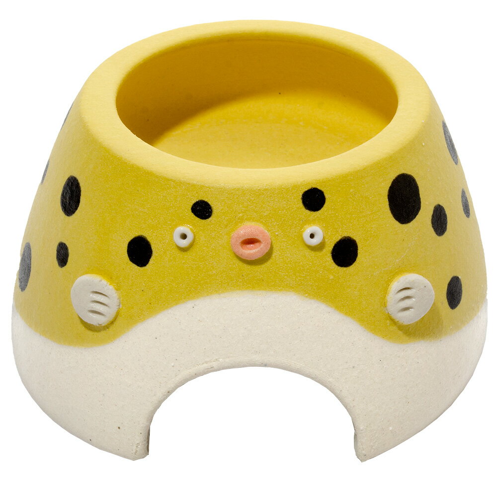 シェルター　アニマルウェットシェルター　ミドリフグ　M　信楽焼　爬虫類　両生類　関東当日便