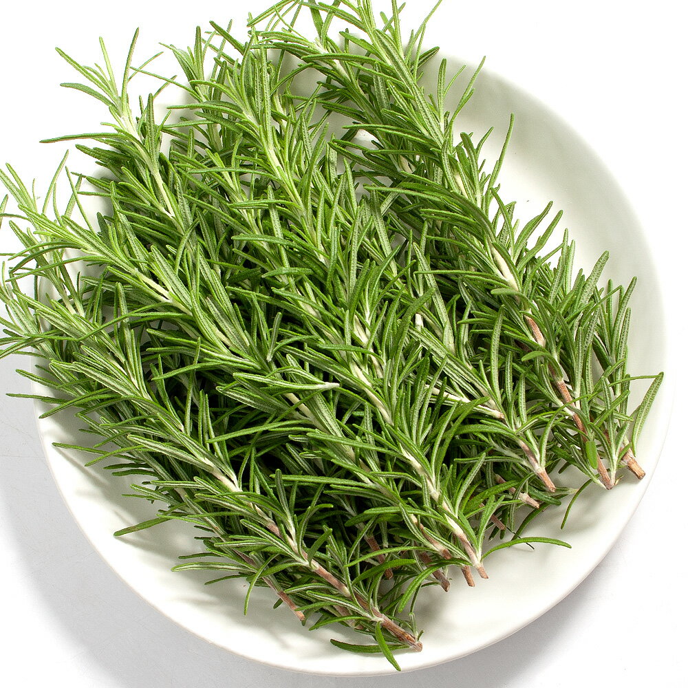 （観葉植物）国産　とれたて生ハーブ　ローズマリー　50g　うさぎ　小動物　陸ガメ