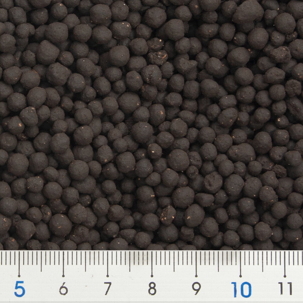 �ǾƤ������롡�֥�å����Ρ��ޥ롡1L������������