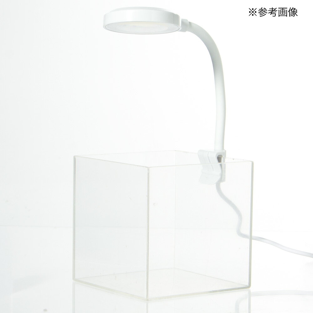 ���������ѡ�����åץ饤�ȡ��ۥ磻�ȡ�USB�����ס�����������