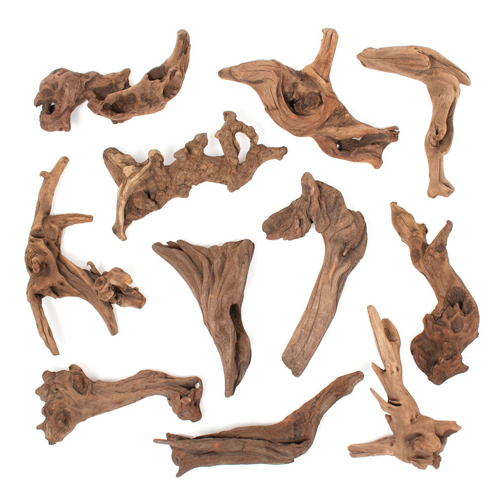 ������Ǥ�����ѹ��ߺѤߡ����ή�ڡ������ߤ�ӡ���S����������15��25cm�ˡ�1�ܡ��������ꥦ�ࡡ�쥤�������Ǻࡡή�ڡ�����������