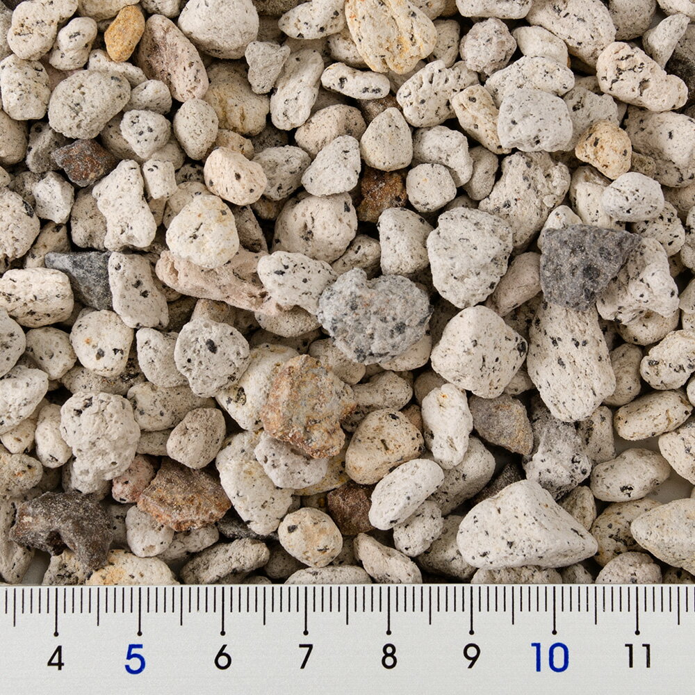 ȭ����С�1��2L�����С��������5���¤ꡡ����������