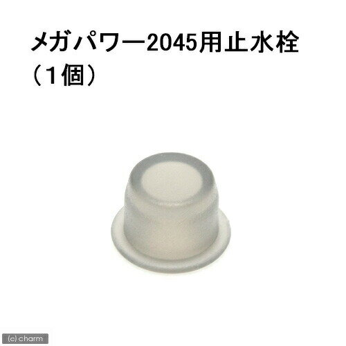 GEX߿򡡥ᥬѥ2045ѡ1ġå
