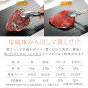 解凍プレート 急速解凍 プレート 自然解凍 解凍 まな板 急速 解凍 肉 刺身 冷凍食品対応 解凍皿 プレート粗熱 アルミ スピード 冷凍食品 業務用 家庭用 3