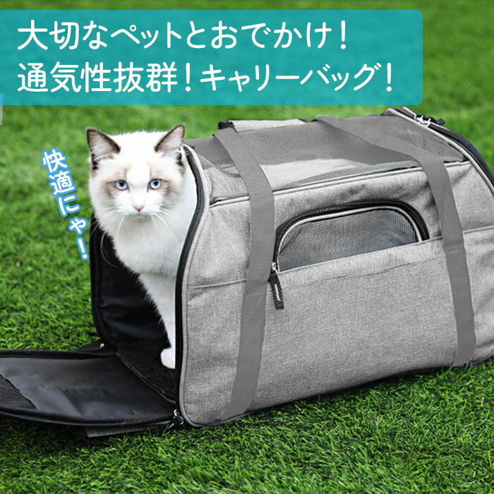 サンプル画像2