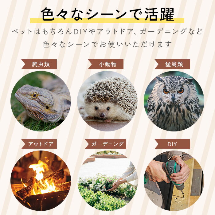 �ڥåȥ������� ���ߤĤ��ɻ� �������� �� ���ߤĤ��ɻ� ���� �� ���� ǭ ���� �ڥå� ���ߤĤ� �������� ���� ���Ĥ� �����եƥ��������� ���׼��� ���ä��� ���� �ͥ� �����ȥɥ� �С��٥��塼