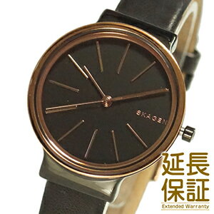 【並行輸入品】スカーゲン SKAGEN 腕時計 SKW2480 レディース ANCHER アンカー