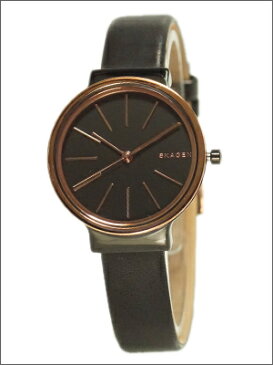 【並行輸入品】スカーゲン SKAGEN 腕時計 SKW2480 レディース ANCHER アンカー