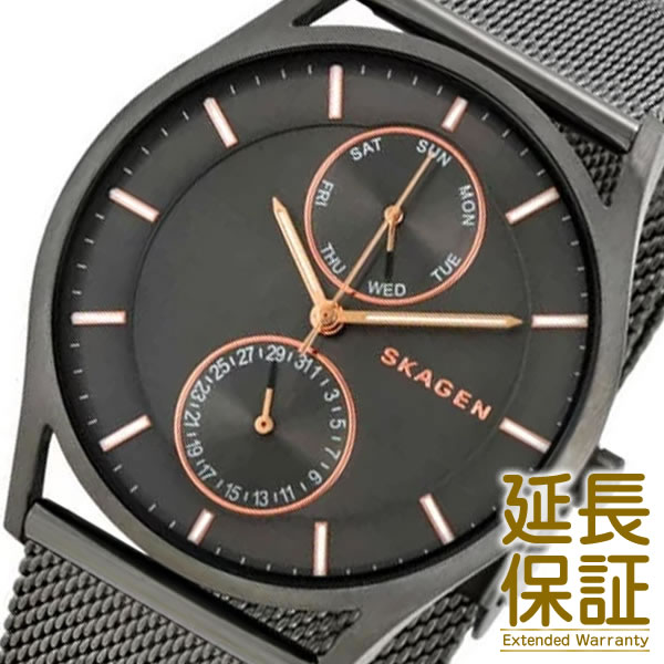 SKAGEN スカーゲン 腕時計 SKW6180 メンズ Holst ホルスト