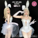 ハロウィン バunnyガール コスチューム4点セット レディース うさぎ ミニスカート ハイスリット ヨガウェア セクシースカート 美脚 タイト コスプレ衣装 ...
