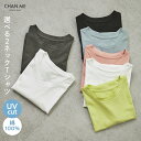 CHAN ME チャンミ 綿100%クルーネックTシャツ レディース 24春夏 全6色 クルーネック/Vネック M/L/LL