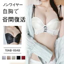 ブラジャー 脇高 単品