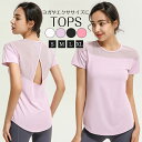 \期間限定:10%OFF/ヨガウェア トップス ヨガTシャツ レディース ヨガトップス ピラティス ウェア 体型カバー吸汗速乾 通気性 薄手 伸縮性 軽量 かわ...