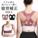 \本日限定 10%OFF/姿勢サポーター 姿勢ベルト 猫背矯正ベルト 薄手 子供 目立たない 猫背 巻き肩 補正 背中の丸まり ベルト 背筋サポーター 矯正ベル...