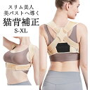 \本日限定 10%OFF/姿勢サポーター 姿勢ベルト 猫背矯正ベルト 薄手 子供 目立たない 猫背 巻き肩 補正 背中の丸まり ベルト 背筋サポーター 矯正ベル...